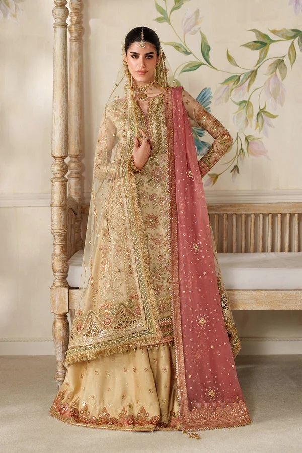 EMBROIDERED NET BAROUQE pakistani fashion outfit with coordinated…